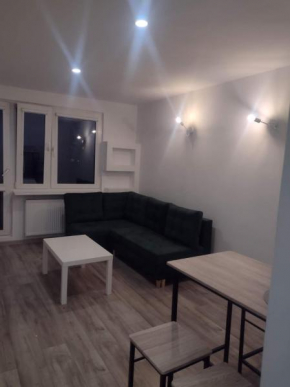 Apartament Rodzinny Ogrody